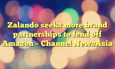 Zalando seeks more brand partnerships to fend off Amazon – Channel NewsAsia