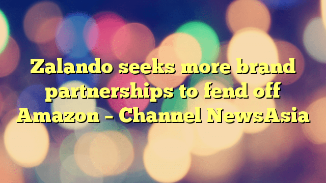 Zalando seeks more brand partnerships to fend off Amazon – Channel NewsAsia
