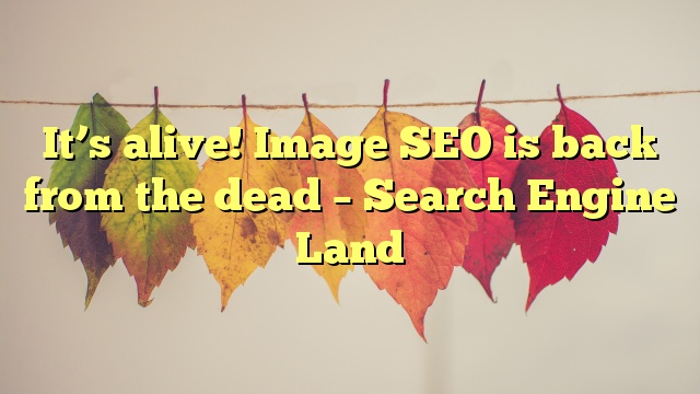 It’s alive! Image SEO is back from the dead – Search Engine Land