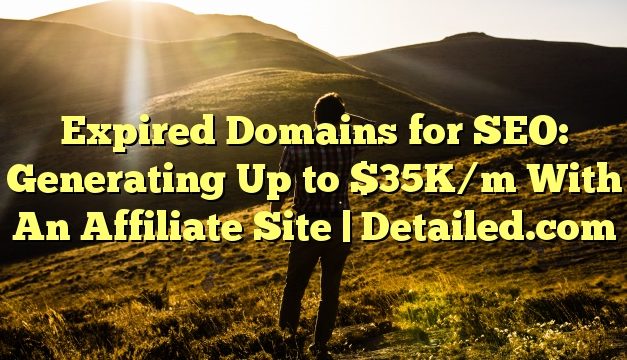 Expired Domains for SEO: Generating Up to $35K/m With An Affiliate Site | Detailed.com