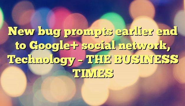 New bug prompts earlier end to Google+ social network, Technology – THE BUSINESS TIMES
