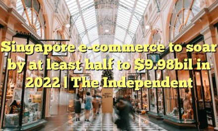 Singapore e-commerce to soar by at least half to $9.98bil in 2022 | The Independent